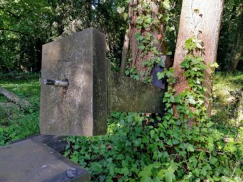 Umgestürztes Kreuz, das von Baumstämmen eingeschlossen wurde - Dessau Friedhof 3